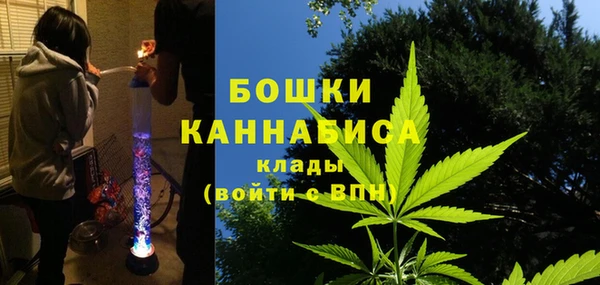 молекула духа Аркадак