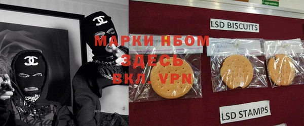 молекула духа Аркадак